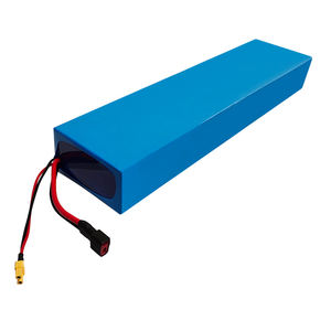 Magnus 36V 12AH Electric Cycle Battery
